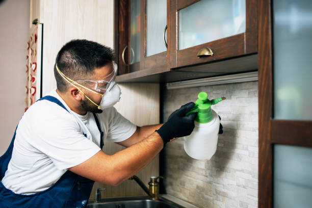 Best Flea Control Services  in Etowah, NC