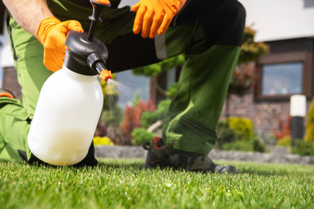 Best Insect Control  in Etowah, NC