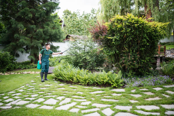 Wasp Removal Services in Etowah, NC