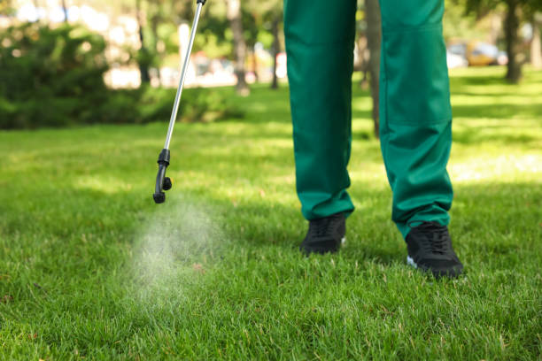 Best Pest Control for Restaurants  in Etowah, NC