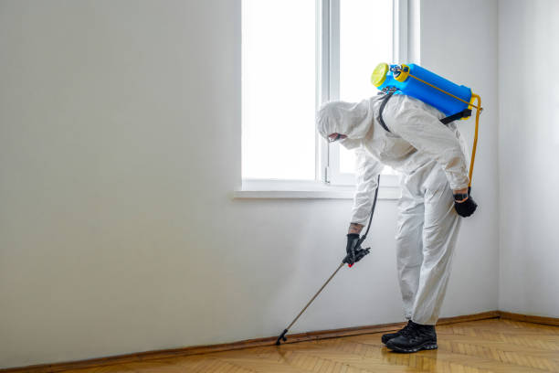 Best Mosquito Control Services  in Etowah, NC