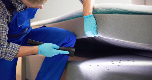 Best Affordable Pest Control Services  in Etowah, NC
