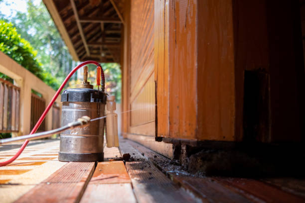 Best Best Pest Control Companies  in Etowah, NC