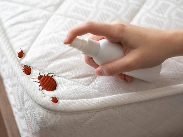 Best Pest Control for Businesses  in Etowah, NC